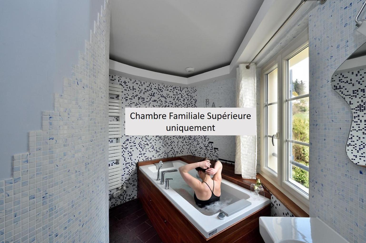 ช็องบร์ โอต วีลา เดอ เวียน-อ็อง-อาร์ที Bed & Breakfast Vienne-en-Arthies ภายนอก รูปภาพ